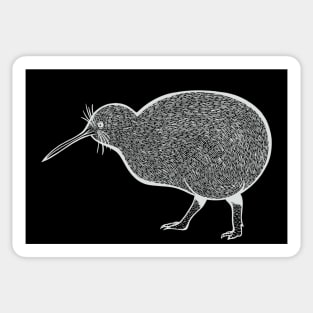 Kiwi Bird - hand drawn detailed animal art Sticker
